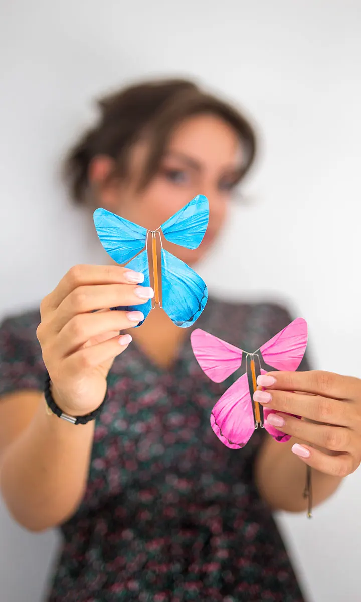 Tutoriels du Papillon Magique